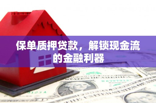 云浮保单质押贷款，解锁现金流的金融利器