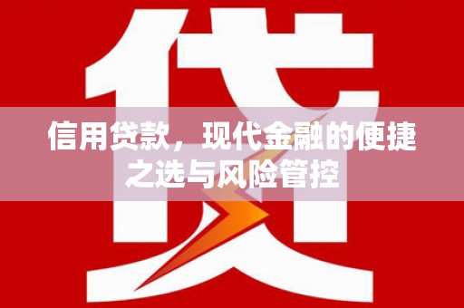 定远信用贷款，现代金融的便捷之选与风险管控