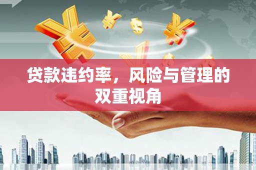 温州贷款违约率，风险与管理的双重视角