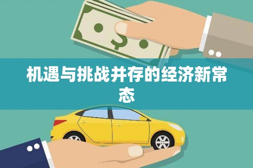 普湾新区机遇与挑战并存的经济新常态