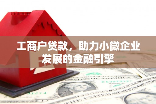 泰顺工商户贷款，助力小微企业发展的金融引擎