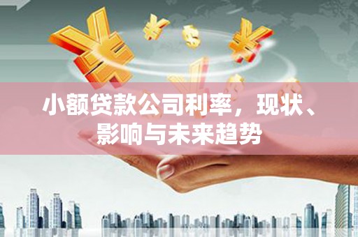 南康小额贷款公司利率，现状、影响与未来趋势
