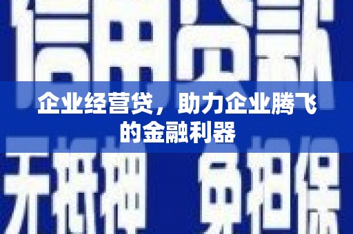 洋县企业经营贷，助力企业腾飞的金融利器