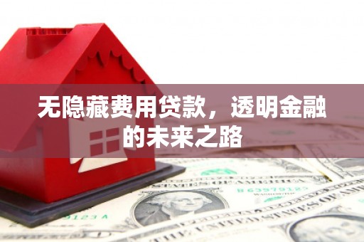 上林无隐藏费用贷款，透明金融的未来之路
