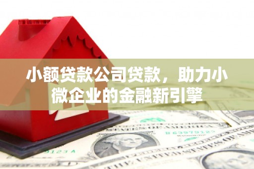 铜仁小额贷款公司贷款，助力小微企业的金融新引擎