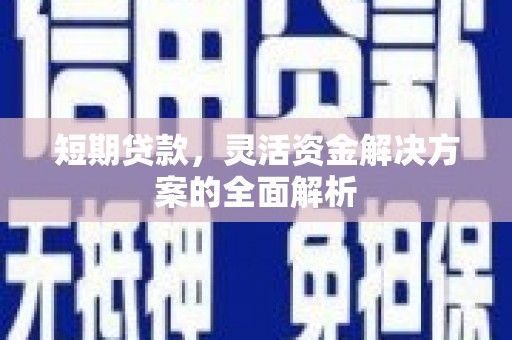 水林短期贷款，灵活资金解决方案的全面解析