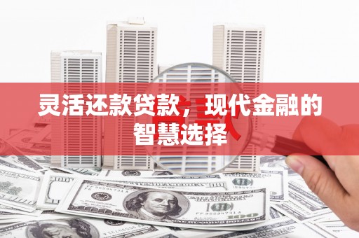 民和灵活还款贷款，现代金融的智慧选择