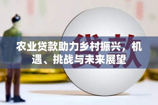 叶县农业贷款助力乡村振兴，机遇、挑战与未来展望