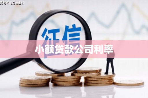 金坛小额贷款公司利率