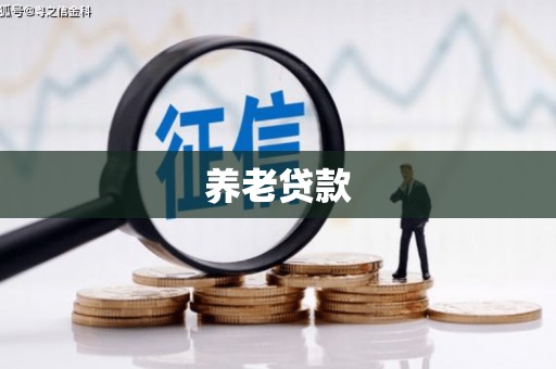 任城养老贷款