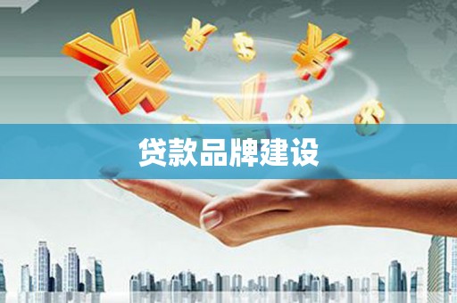 东兰贷款品牌建设