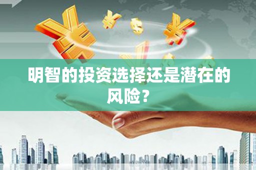 合山明智的投资选择还是潜在的风险？