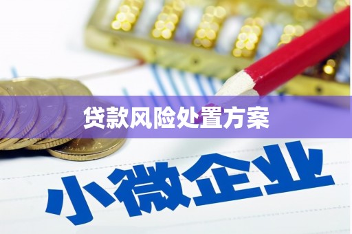 邗江贷款风险处置方案