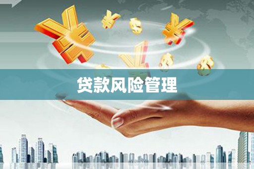 成县贷款风险管理