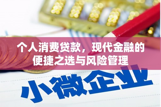 茄萣个人消费贷款，现代金融的便捷之选与风险管理