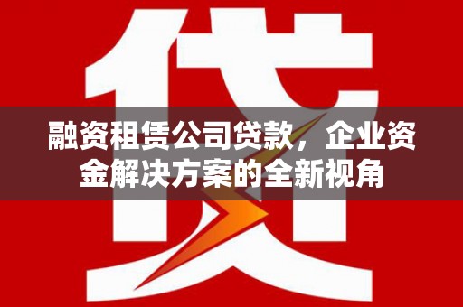 狮子山融资租赁公司贷款，企业资金解决方案的全新视角