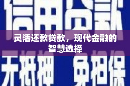 雄安新区灵活还款贷款，现代金融的智慧选择