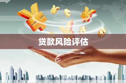 隰县贷款风险评估