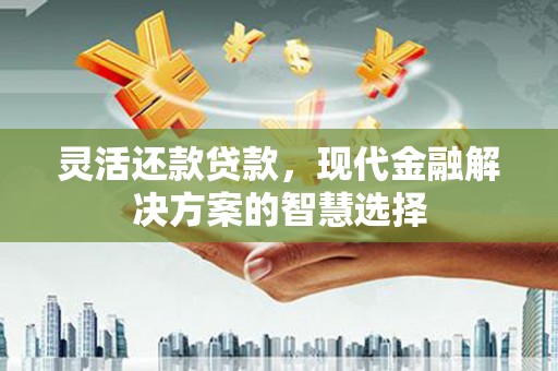 阜宁灵活还款贷款，现代金融解决方案的智慧选择