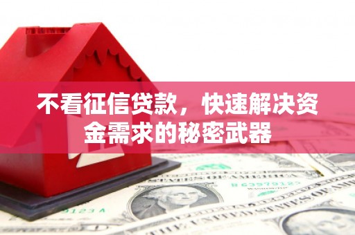 柳北不看征信贷款，快速解决资金需求的秘密武器