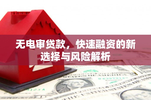 张家港无电审贷款，快速融资的新选择与风险解析