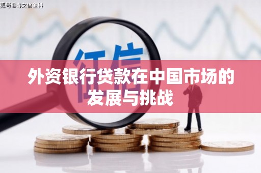 雁江外资银行贷款在中国市场的发展与挑战