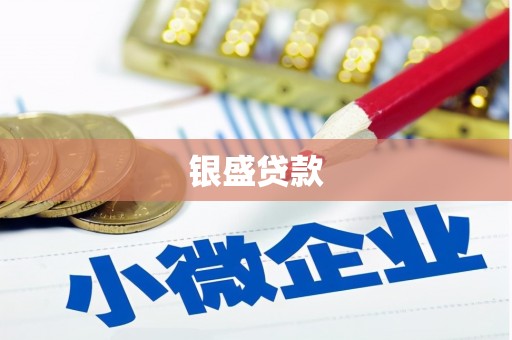 腾冲银盛贷款