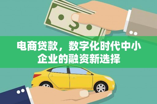 大武电商贷款，数字化时代中小企业的融资新选择