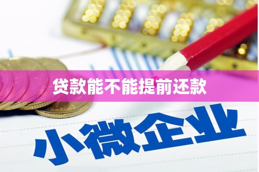 贞丰贷款能不能提前还款