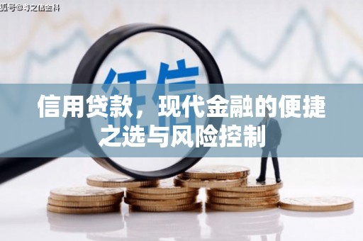 南山信用贷款，现代金融的便捷之选与风险控制