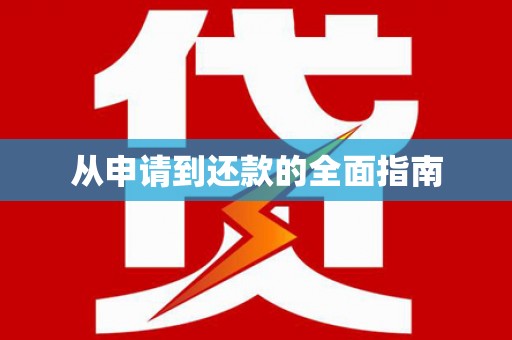 沙湾从申请到还款的全面指南