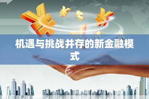 民权机遇与挑战并存的新金融模式