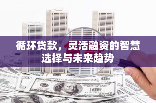 工布江达循环贷款，灵活融资的智慧选择与未来趋势