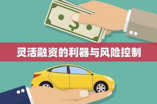 绥德灵活融资的利器与风险控制