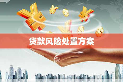 和县贷款风险处置方案