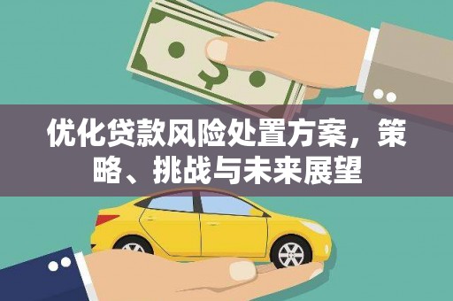 顺城优化贷款风险处置方案，策略、挑战与未来展望