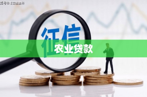 古镇农业贷款