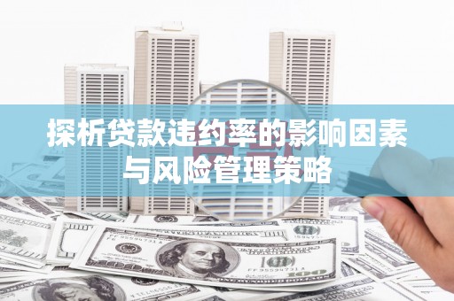 兴山探析贷款违约率的影响因素与风险管理策略