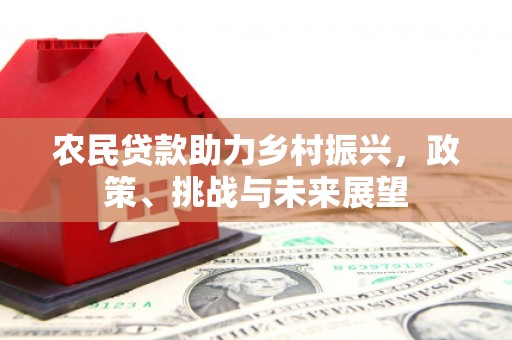 茂林农民贷款助力乡村振兴，政策、挑战与未来展望