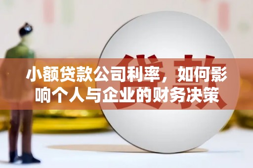 户县小额贷款公司利率，如何影响个人与企业的财务决策