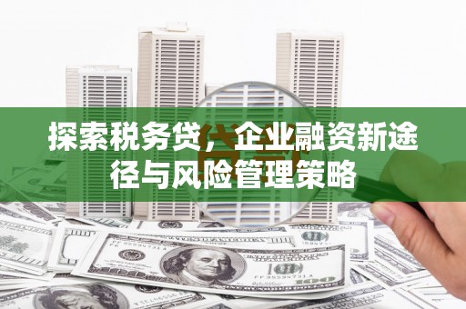 无锡探索税务贷，企业融资新途径与风险管理策略