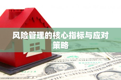 叶县风险管理的核心指标与应对策略
