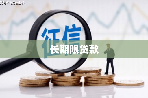 乐都长期限贷款