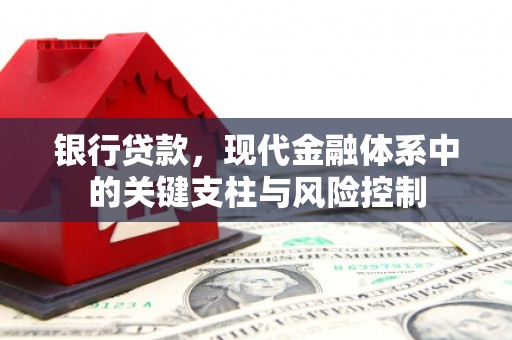 台安银行贷款，现代金融体系中的关键支柱与风险控制
