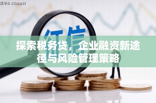 渝中探索税务贷，企业融资新途径与风险管理策略