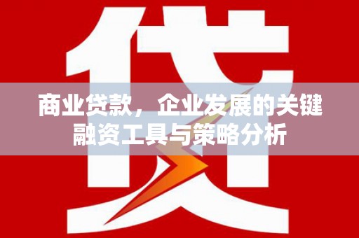 乐陵商业贷款，企业发展的关键融资工具与策略分析