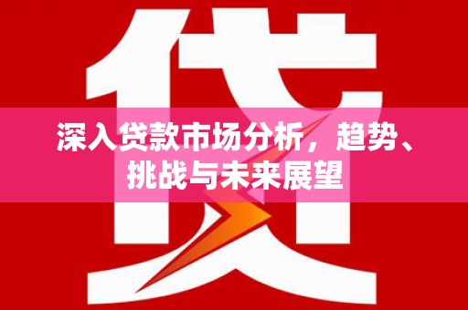 盐池深入贷款市场分析，趋势、挑战与未来展望