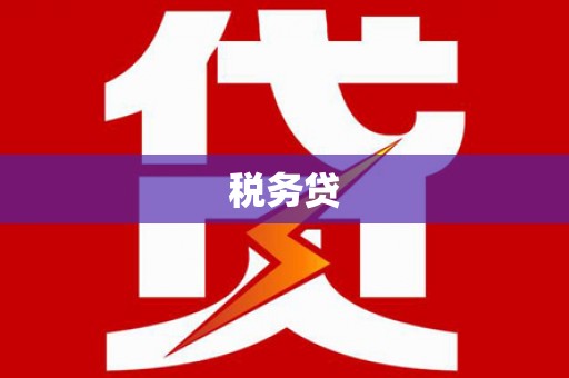 江川税务贷