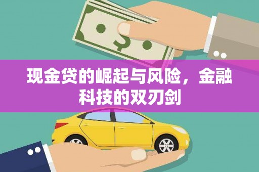 金平现金贷的崛起与风险，金融科技的双刃剑
