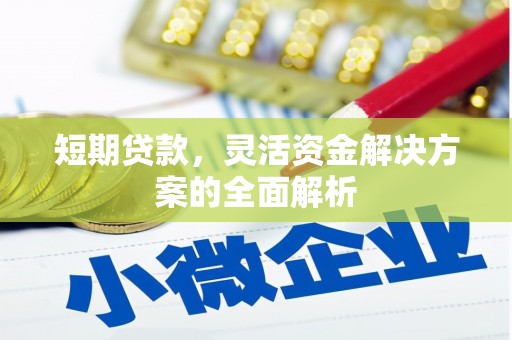 乐至短期贷款，灵活资金解决方案的全面解析